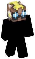 Skinfile