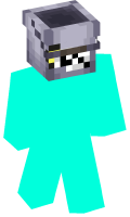 Skinfile