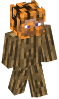 Skinfile