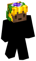 Skinfile