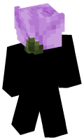 Skinfile
