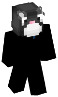 Skinfile