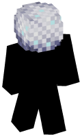Skinfile