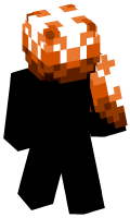 Skinfile