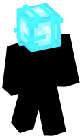 Skinfile