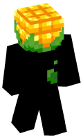 Skinfile