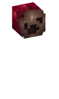 Skinfile