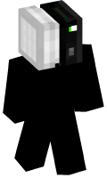 Skinfile
