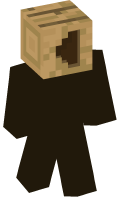 Skinfile