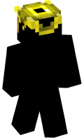 Skinfile