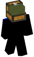 Skinfile