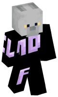 Skinfile