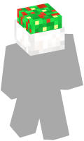 Skinfile