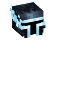 Skinfile