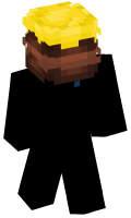 Skinfile