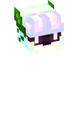 Skinfile