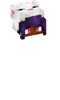 Skinfile
