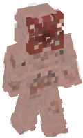 Skinfile