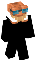 Skinfile