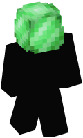 Skinfile