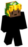 Skinfile