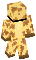 Skinfile