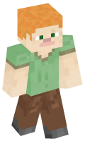 Skinfile