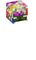 Skinfile