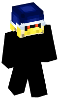 Skinfile