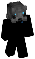 Skinfile