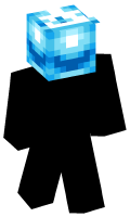 Skinfile