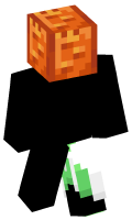 Skinfile