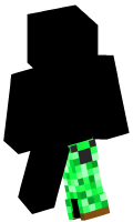 Skinfile