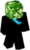 Skinfile