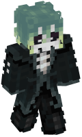 Skinfile