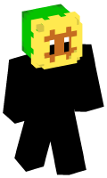 Skinfile