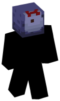 Skinfile
