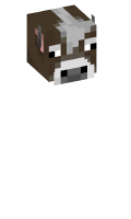 Skinfile
