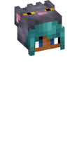 Skinfile