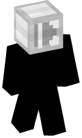Skinfile