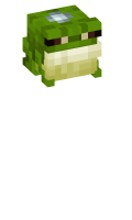 Skinfile