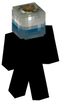 Skinfile