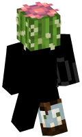 Skinfile