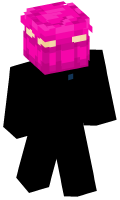 Skinfile