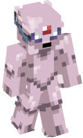 Skinfile