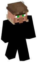 Skinfile