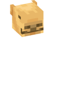 Skinfile