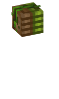 Skinfile