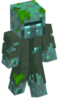 Skinfile