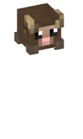 Skinfile